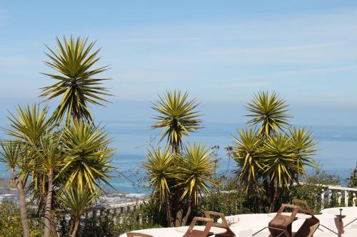 a table with chairs and palm trees in the background at 501 Hotel in Vibo Valentia