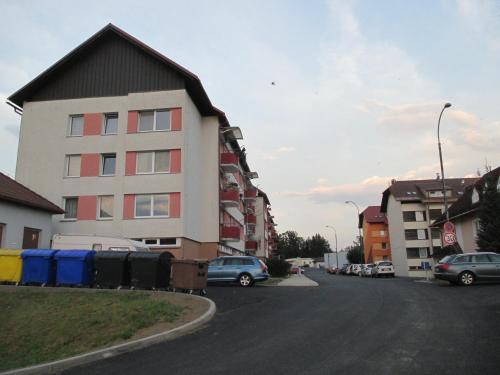 Gallery image of Apartmán Petra in Horní Planá
