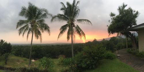 Gallery image of Kona Bayview Inn in Captain Cook