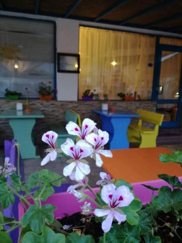 a table and flowers in a room with tables and chairs at Aura in Primorsko