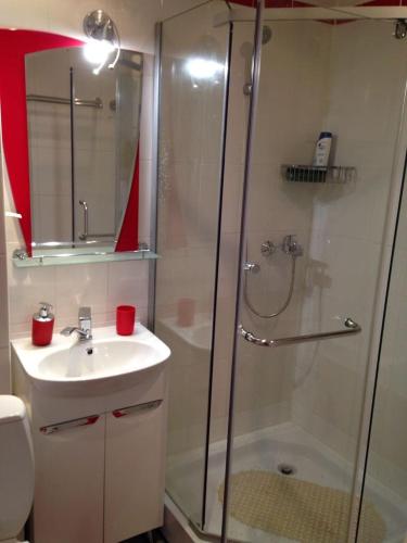 ソチにあるSochi Krivtsova Apartmentのバスルーム(シャワー、洗面台、トイレ付)