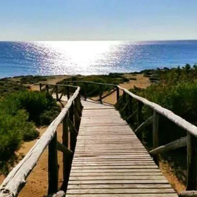 Un paisaje natural cerca de la casa de huéspedes