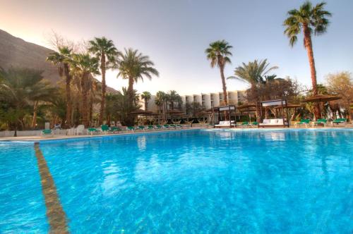 une grande piscine avec des palmiers et une montagne dans l'établissement Leonardo Inn Hotel Dead Sea, à Ein Bokek