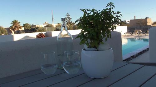 a table with glasses and a potted plant on a balcony at Daylight Hotel in Perissa