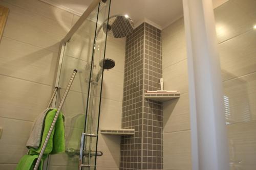 a shower with a glass door in a bathroom at Ferienhaus Wolfs-Revier in Drognitz