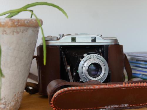 een oude camera naast een potplant bij L'Atelier in Vence