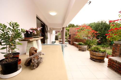 a porch with potted plants and a teddy bear on a table at Rest Assured Stilbaai in Stilbaai