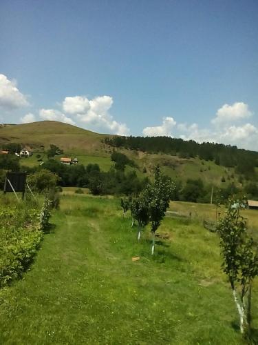 a field of green grass with trees in it at Holiday Home Vila Milka in Kremna