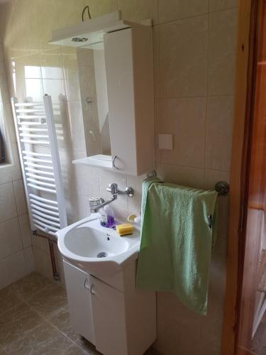 a bathroom with a sink and a green towel at Vila Tri Srca in Beserovina