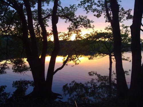 a sunset over the water with trees in the foreground at L'Escale du Banquet in Mhère
