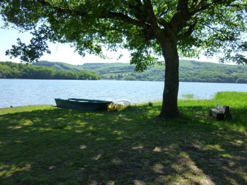 a boat sitting under a tree next to a lake at L'Escale du Banquet in Mhère