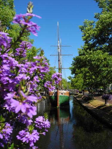 a boat is docked in a canal with purple flowers at MediTerra in Papenburg