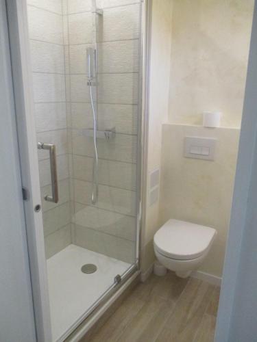 une salle de bain avec douche et toilettes dans l'établissement Appartement En Bord De Mer avec piscine, à Saint-Cyprien