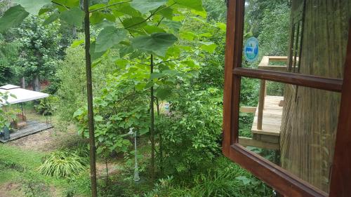 a window view of a garden with a tree at El Rincon Eco Hotel in Los Ángeles