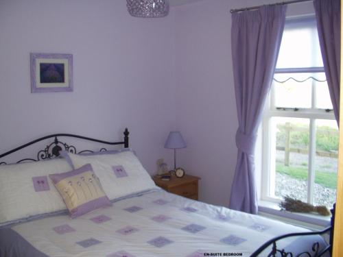 a bedroom with a bed and a window at Beech House in Portballintrae