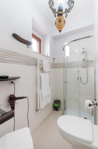 a bathroom with a shower and a toilet at La Locanda di Zì Nicola in Matera