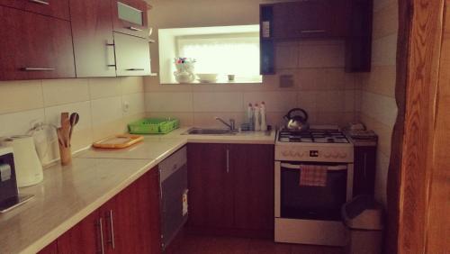 a kitchen with a stove and a sink at Noclegi U Dyncyka in Krajno Pierwsze