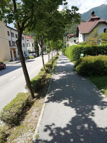 Příroda nedaleko apartmánu