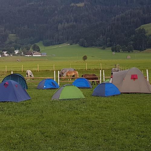Příroda nedaleko apartmánu