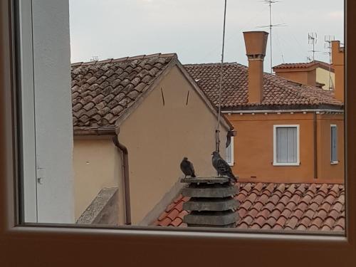 Φωτογραφία από το άλμπουμ του Ca' dell'Angelo σε Chioggia