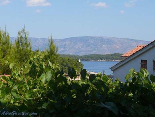 Apartment GREEN Jelsa