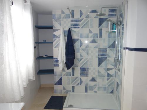 a bathroom with a shower with blue and white tiles at La Casita de Brownie in Garachico