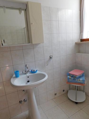 Apartment Neda Z-velika okućnica, besplatni parking i optički wi-fi