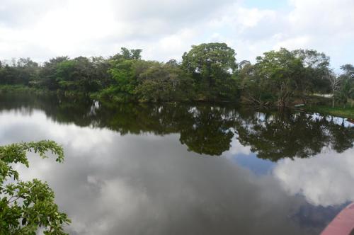 a river with trees reflecting in the water at Lamanai Hotel & Marina in Orange Walk