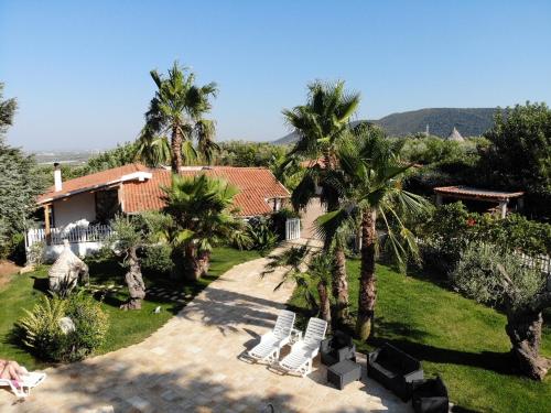uma vista aérea de uma casa com palmeiras em Bed and Breakfast La Casetta em Macchia di Monte