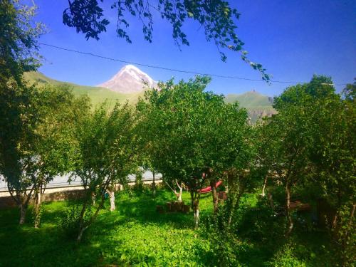ein Berg in der Ferne mit Bäumen im Vordergrund in der Unterkunft GIO-NIKA in Kazbegi
