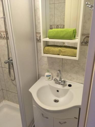 a bathroom with a sink and a mirror and a shower at David Apartman in Gyula