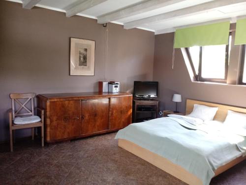 a bedroom with a bed and a dresser and a television at Natura Apartamenty in Swaderki