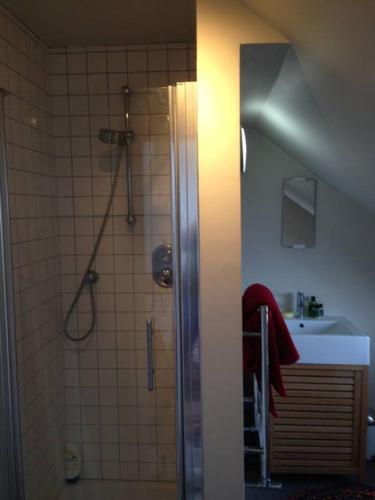 a bathroom with a shower and a sink at Fishponds Retreat Homestay in Bristol