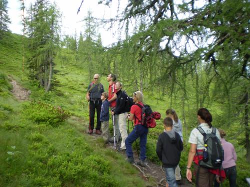 a group of people walking on a trail at Ferienhaus Försterlisl in Kleinarl