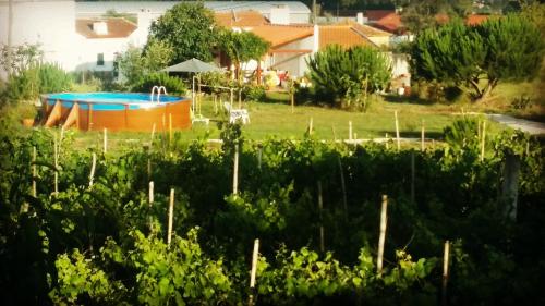 Piscina de la sau aproape de A Quinta da Estrelinha