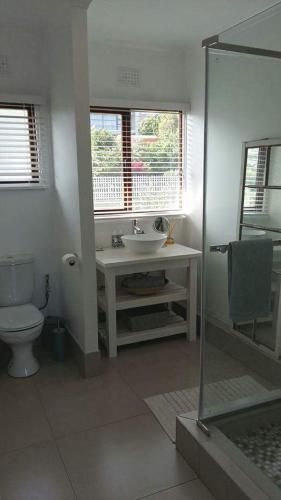 a bathroom with a sink and a toilet at Drommedaris in Gordonʼs Bay