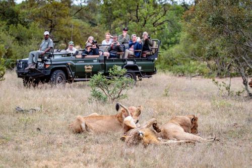 a group of people riding in the back of a safari truck at Shindzela Tented Camp in Timbavati Game Reserve