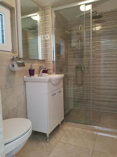 a bathroom with a shower and a sink and a toilet at Apartments Basina rated EXCEPTIONAL in Vrbanj