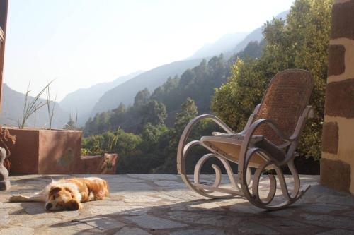a dog laying on the ground next to a chair at Rivendell Eco lodge in El Paso