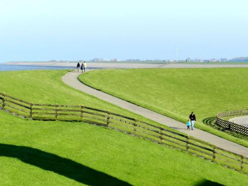 a couple of people walking down a path in a field at Countryside Eco Natuurhuisjes in Ee