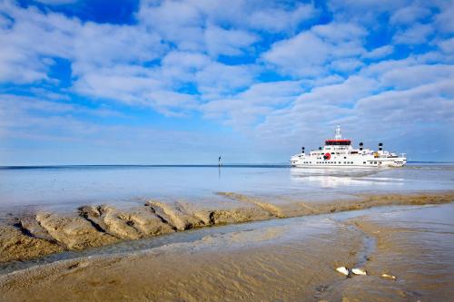 a cruise ship in the water with a beach at Countryside Eco Natuurhuisjes in Ee