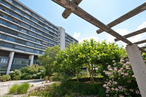 Κήπος έξω από το Hotel Bildungsblick