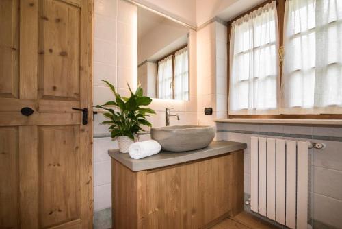 La salle de bains est pourvue d'un lavabo et d'une plante sur un comptoir. dans l'établissement Ca'Milla B&B nelle Dolomiti, à Pieve di Cadore