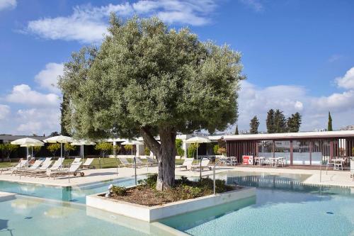 a tree sitting in the middle of a swimming pool at Borgo di Luce I Monasteri Golf Resort & SPA in Syracuse