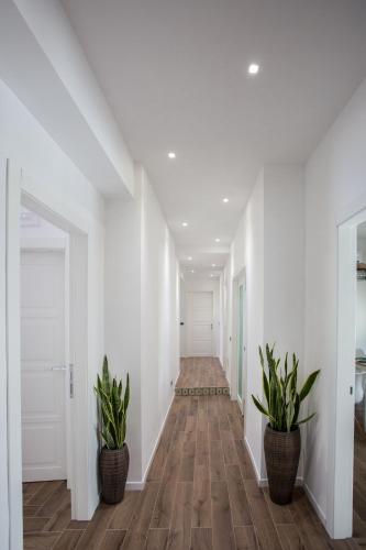 a hallway with two potted plants in a house at AmaSi Affittacamere in Siracusa