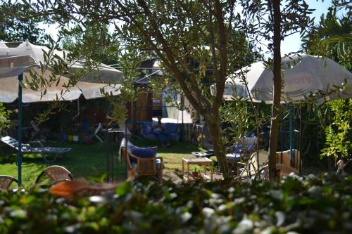 a group of chairs and umbrellas in a yard at Hostal Michel in Vicuña