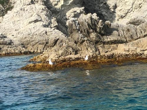 Paesaggio naturale nelle vicinanze dell'appartamento