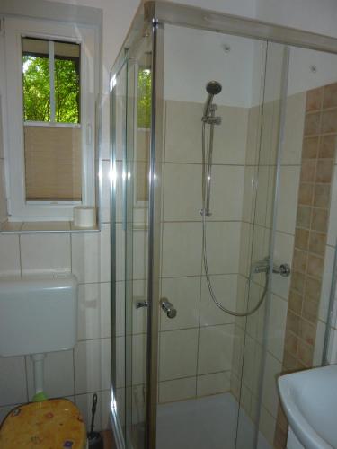 ein Bad mit einer Dusche, einem WC und einem Waschbecken in der Unterkunft Ferienwohnung Kranich in Bad Sachsa