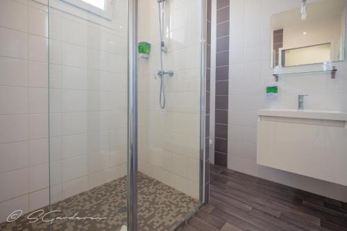 a bathroom with a shower and a sink at Le Matisse Pau Centre in Pau