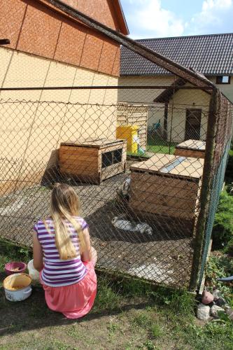 a little girl is looking at a bird cage at Wypoczynek Kocia Góra in Dziemiany